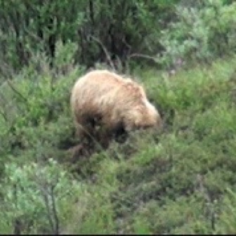 Screen Shot 2016-07-12 at 12.15.10 AM.jpg